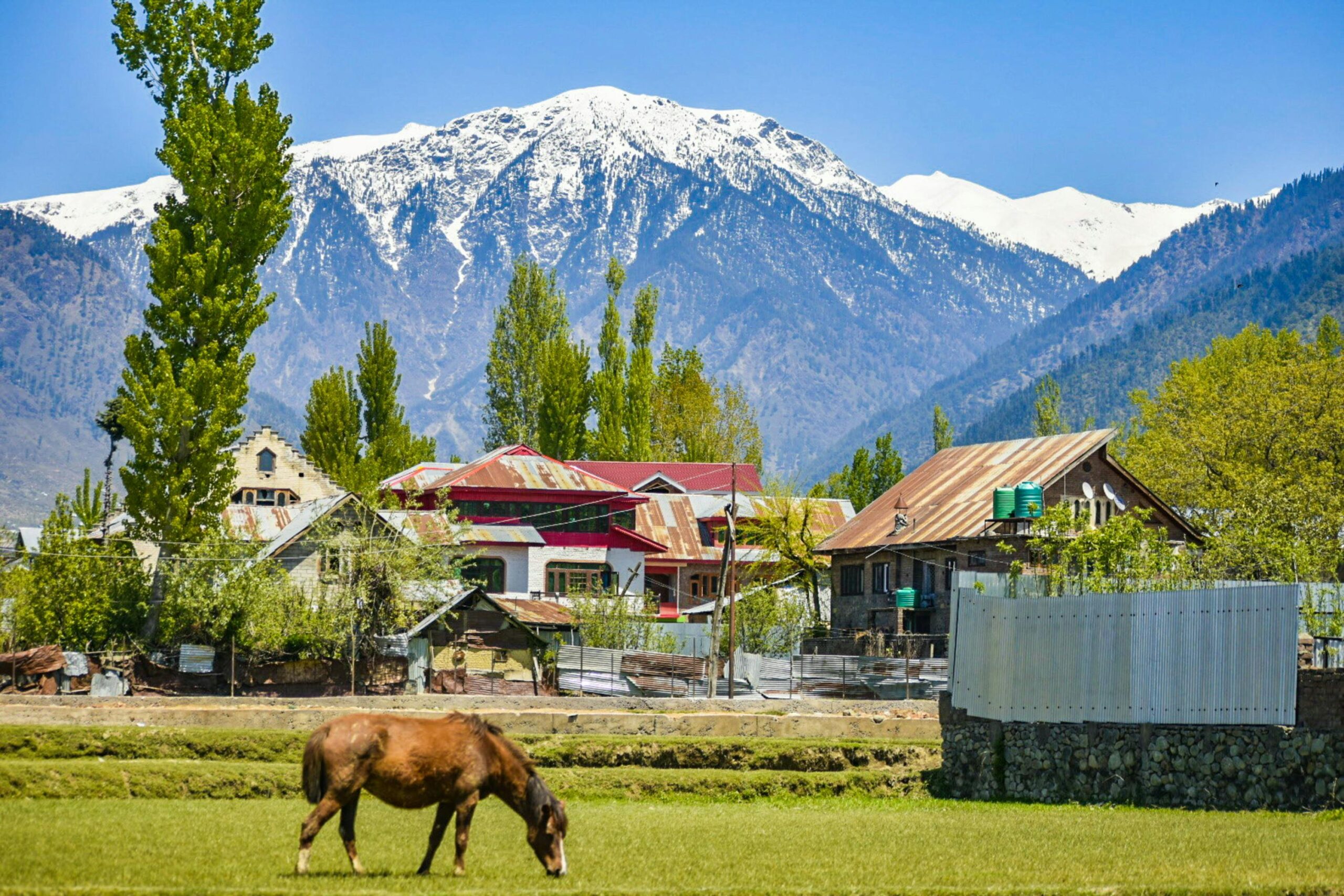 Scenic mountain village with rustic houses and a horse grazing in springtime.